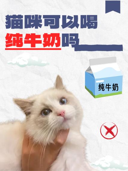 猫的奶人能喝吗
