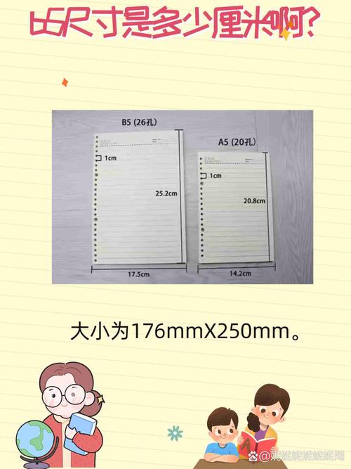 b5尺寸是多大