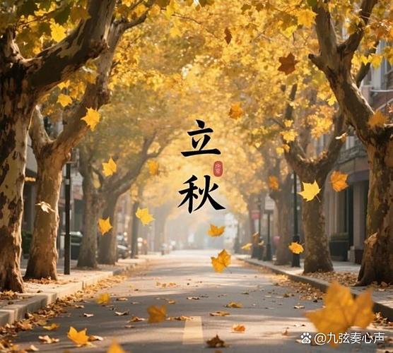 梧桐一叶落天下尽皆秋寓意