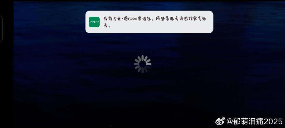 光遇渠道服别人能登吗