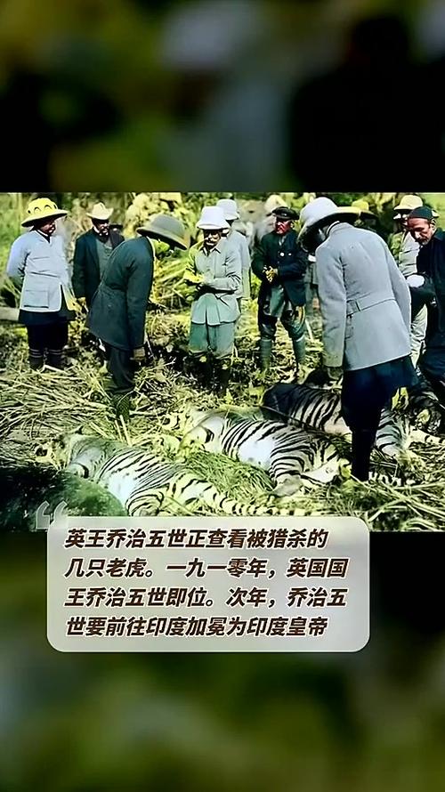这世界谁被狩猎
