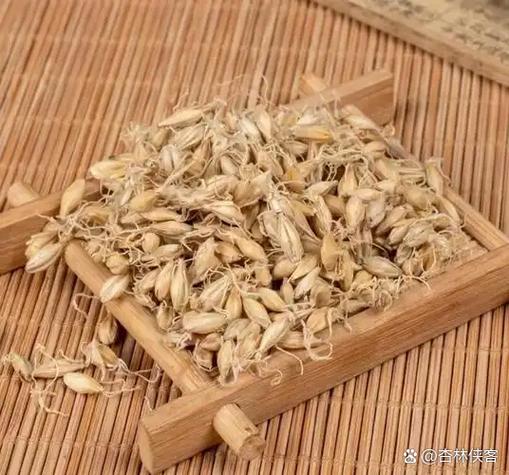小麦归经