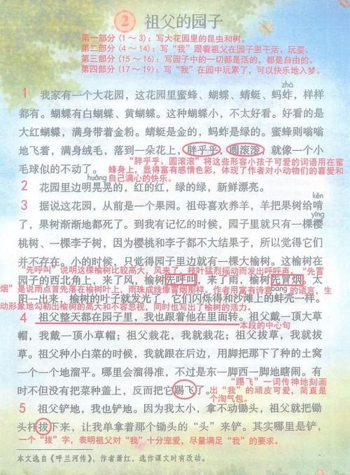 祖父的园子课堂笔记