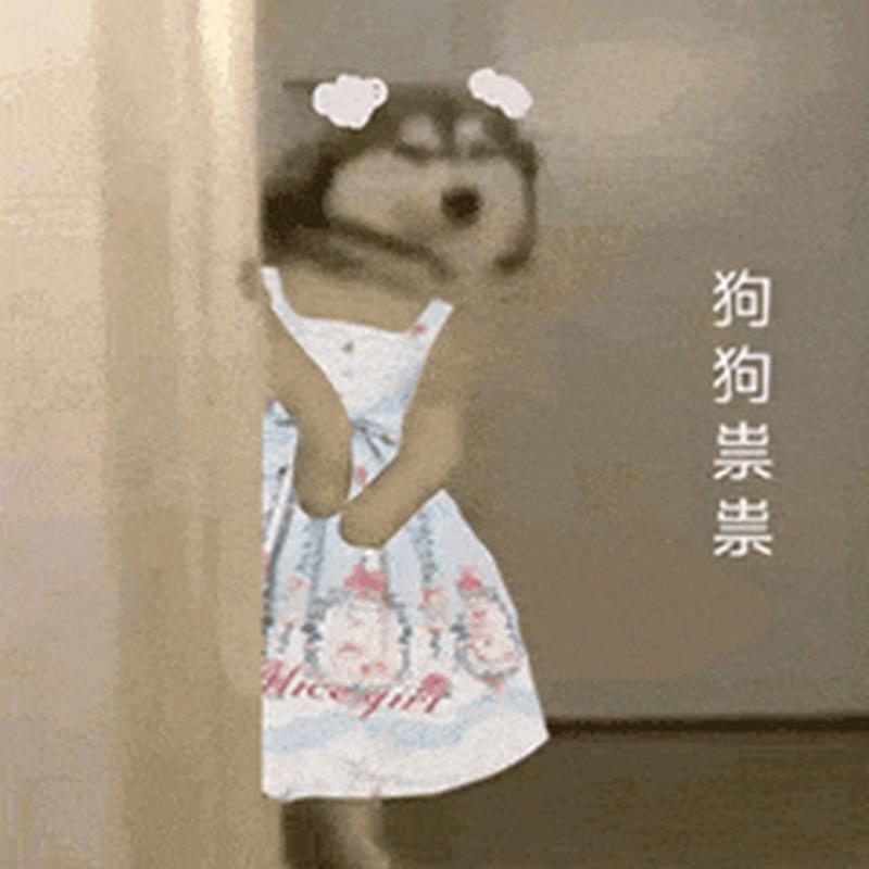 女生发狗狗祟祟啥意思