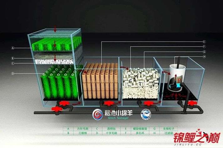 水族箱滤材的摆放图片缩略图