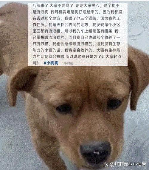 丢了一只蓝牙耳机