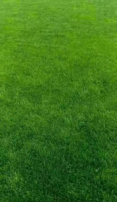 微信聊天背景图