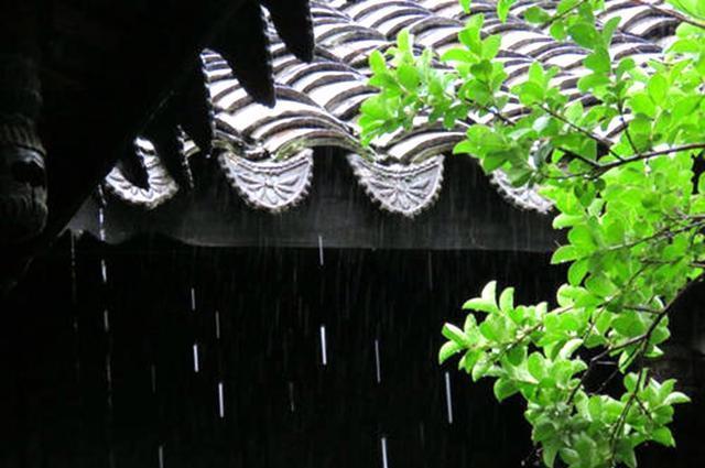 关于秋雨的诗词佳句