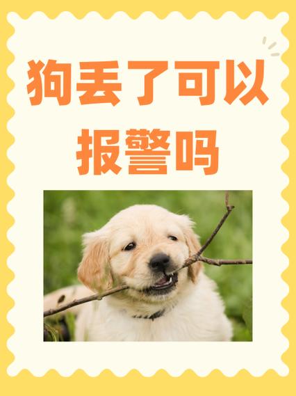 乱发照片可以报警吗