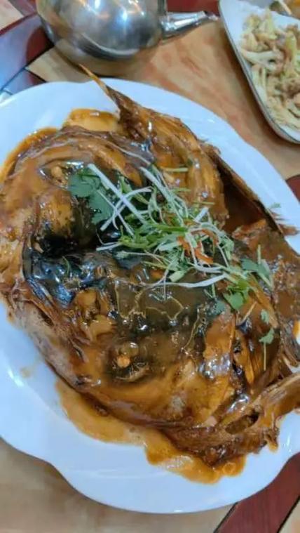 大鱼几点出来吃食