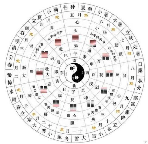 热卜六爻排盘怎么用