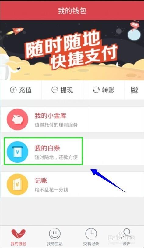 怎么还白条支付的钱