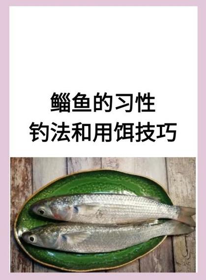 禁止用食盐钓鱼的原因
