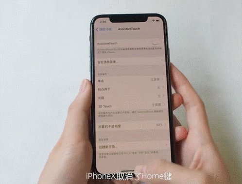 苹果x手势怎么关闭