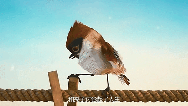 《绳索人生》小女孩脸长怎样