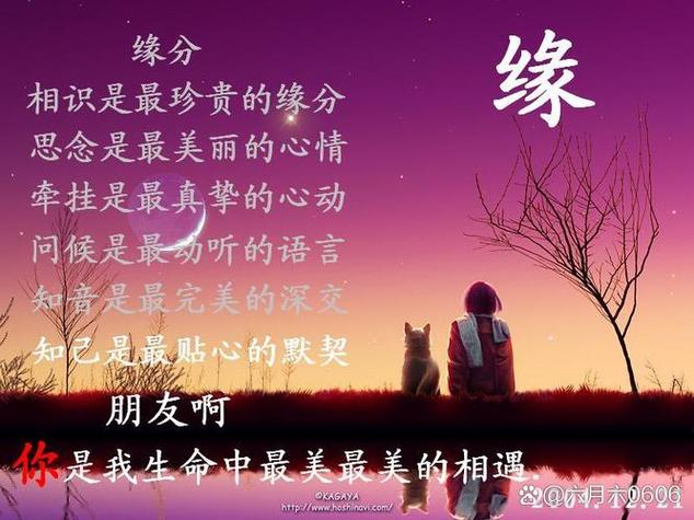 缘分一旦错过就不在
