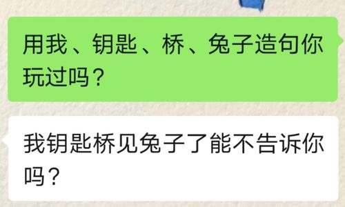 兔子 桥 钥匙 房子 解读