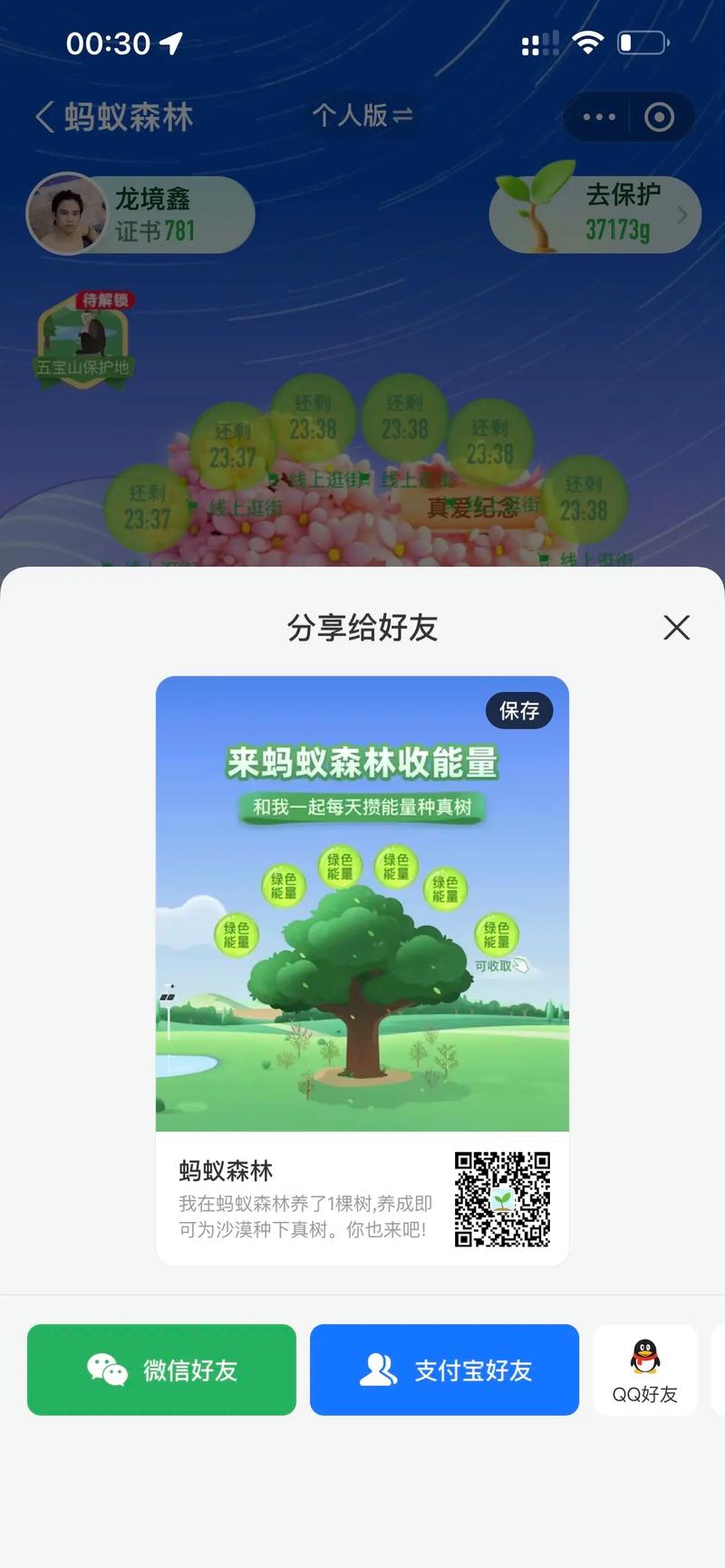 蚂蚁森林在支付宝哪里