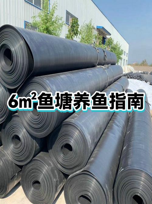 一块鱼塘对吗正确的吗