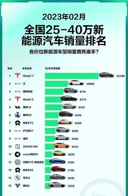纯电动汽车十大名牌