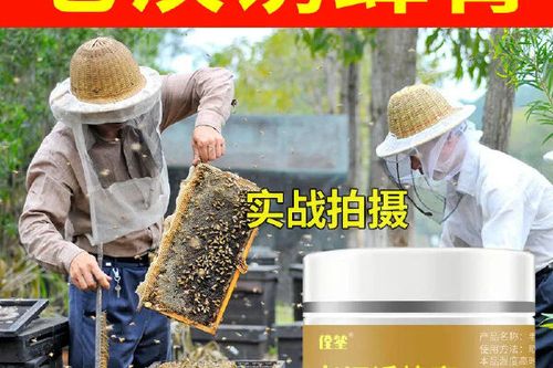 什么时候引蜜蜂最好