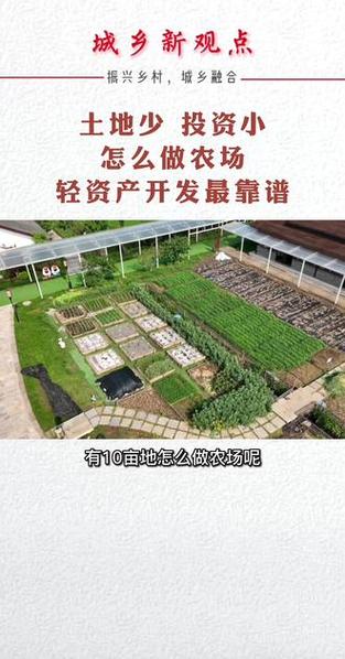 10亩小农场经营模式