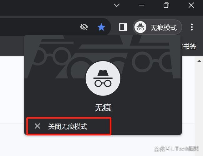 苹果浏览器怎么关闭无痕截图