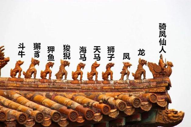 屋脊兽的名称排行读音