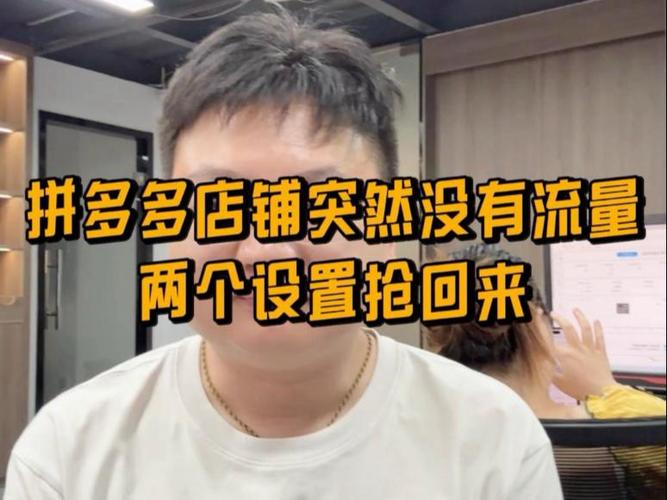 为什么店铺流量突然没有了游戏截图