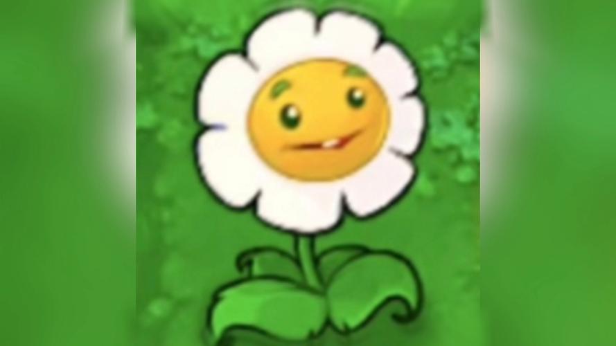 植物大战僵尸 金币花