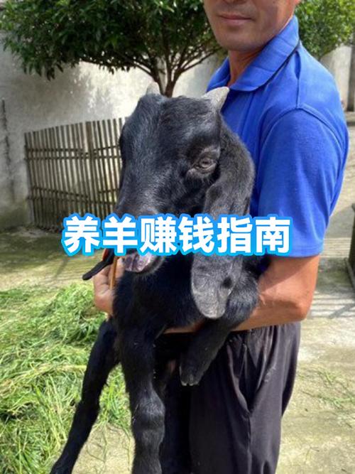养山羊赚钱吗
