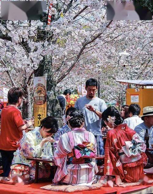 日本樱花会组织