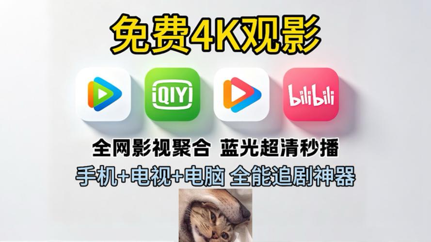 免费4k追剧