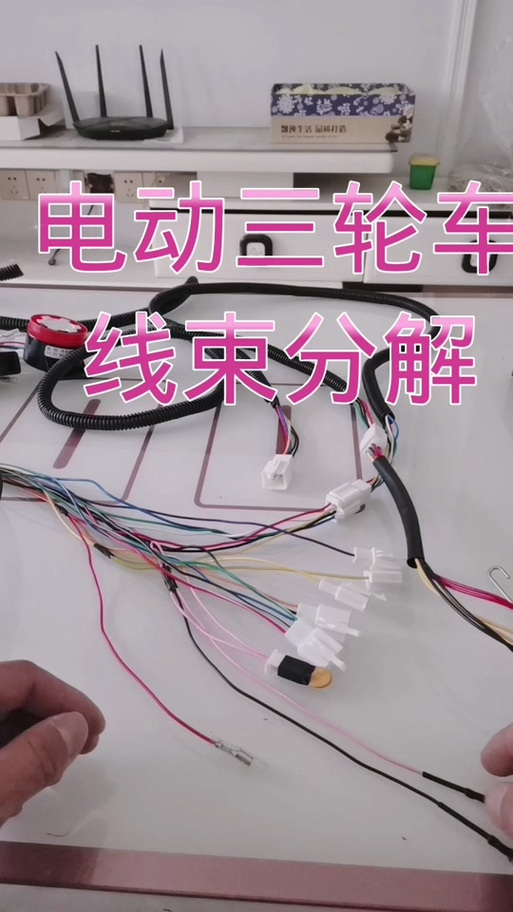 电动三轮车倒车线是哪两根游戏截图