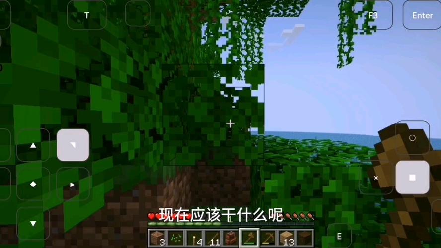 我的世界原版生存实况第一集
