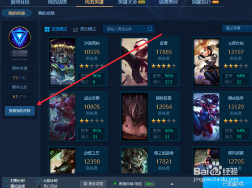 皮肤查询
