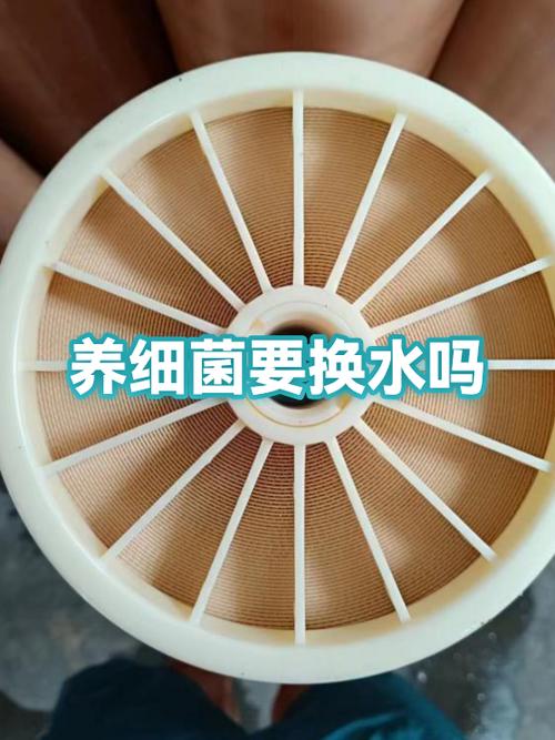 水90度能杀死细菌吗
