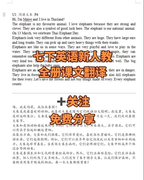 完美的翻译