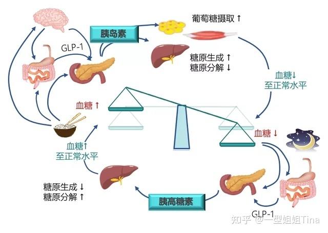 糖代谢不好是什么原因