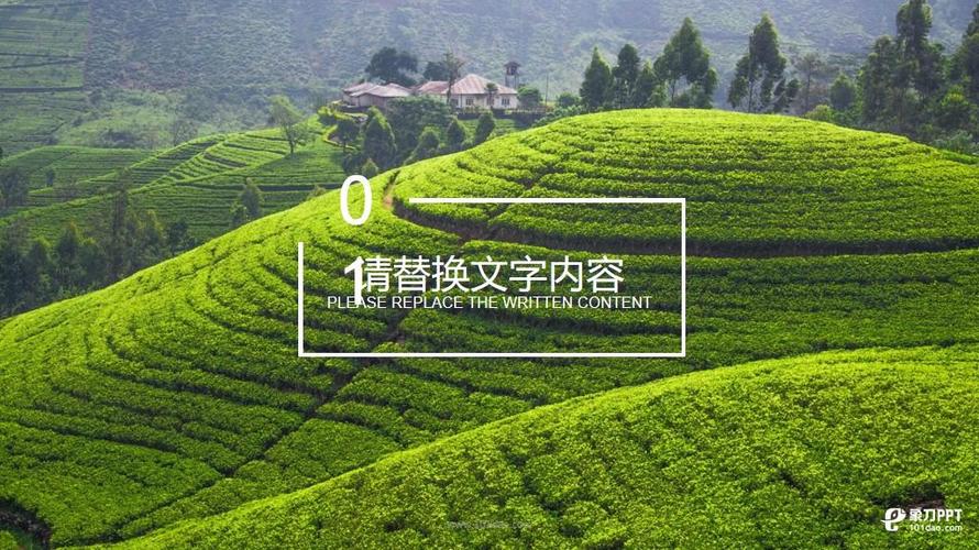 成片PPT网站截图