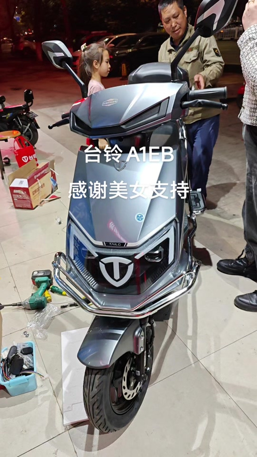 台铃新国标电动自行车