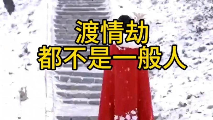 渡情劫成功后人会什么样