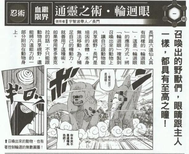 火影之金色轮回最新章节