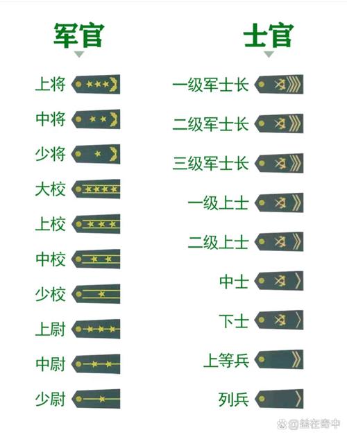土官军衔图片大全