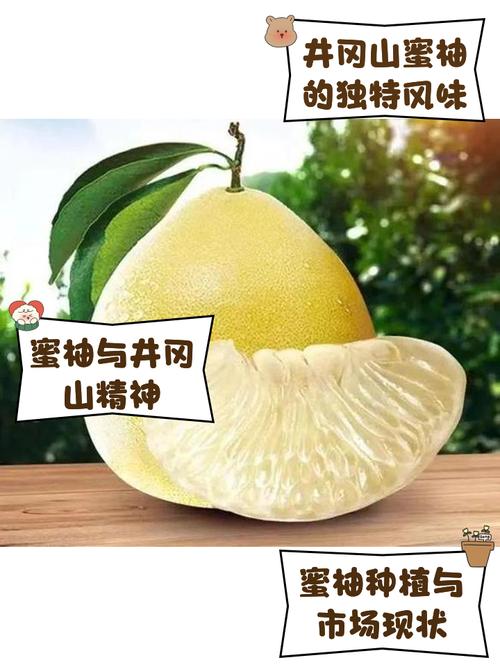 蜜柚最新版v126缩略图