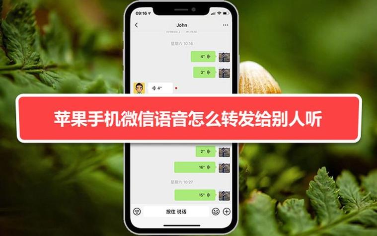 荔枝语音怎么发到微信