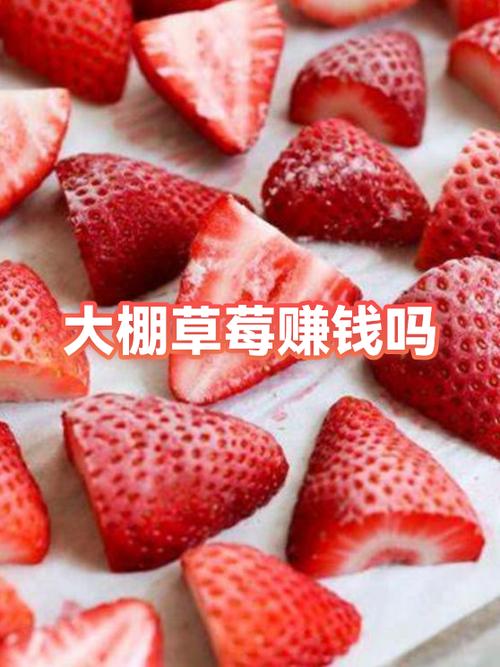 草莓聊天交友可以赚钱吗