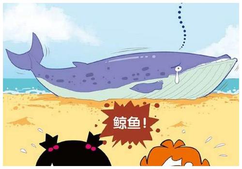 拯救搁浅鲸鱼漫画