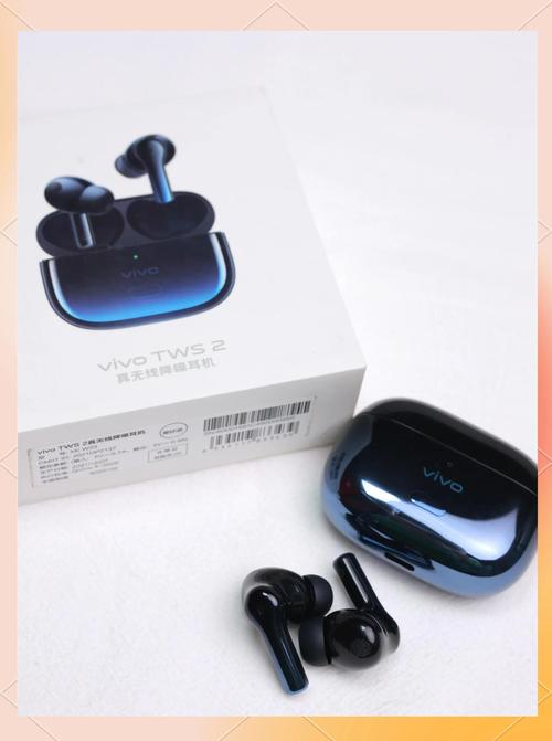 vivotws2已拒绝配对游戏截图
