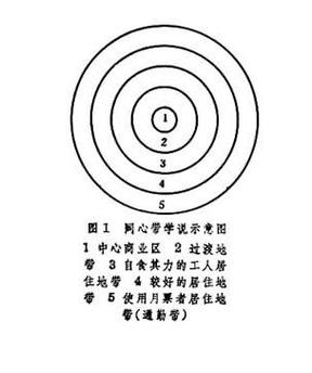 同心圆理论